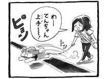 犬への接し方、家族でもこんなに違う|連載「シーズー犬のてんぽ」第297回
