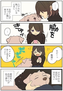連載漫画【暮瀬姉弟と吉田くん】第三百七十四「吉田くんと撫で攻防」