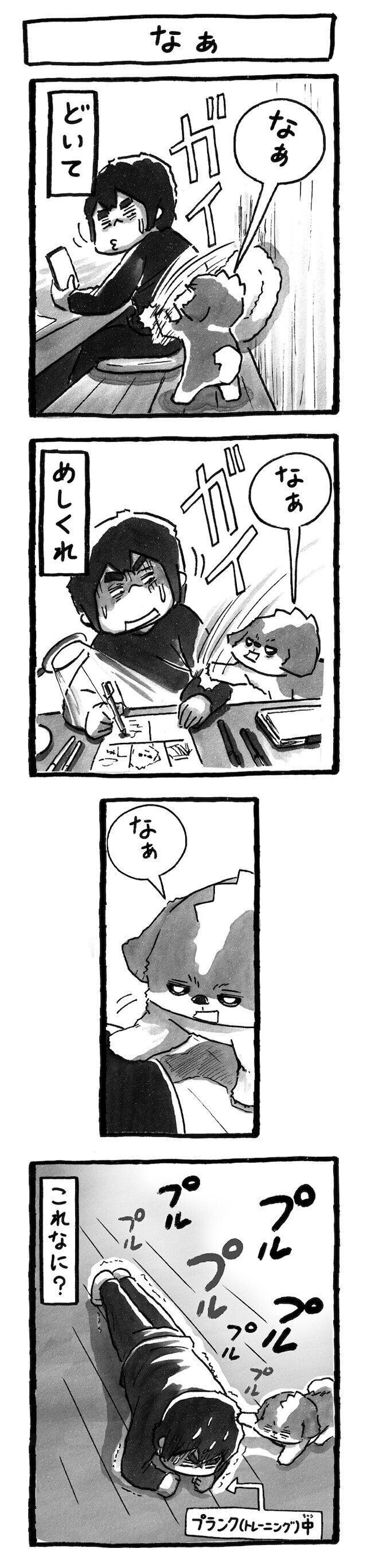 シーズー犬マンガてんぽshihtzu