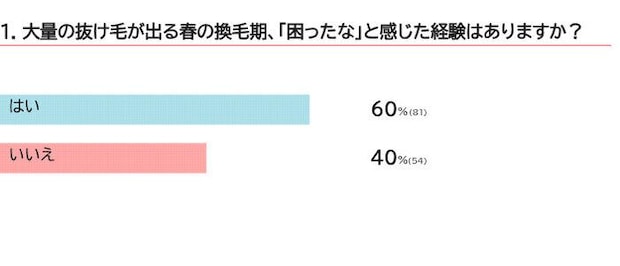 春の換毛期の困りごとは？