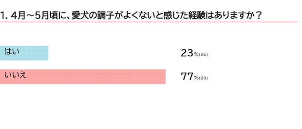 春先に愛犬が体調不良になった経験はある？