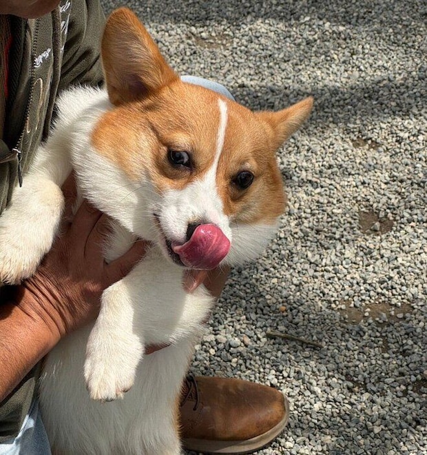 元気いっぱいなアイナちゃん