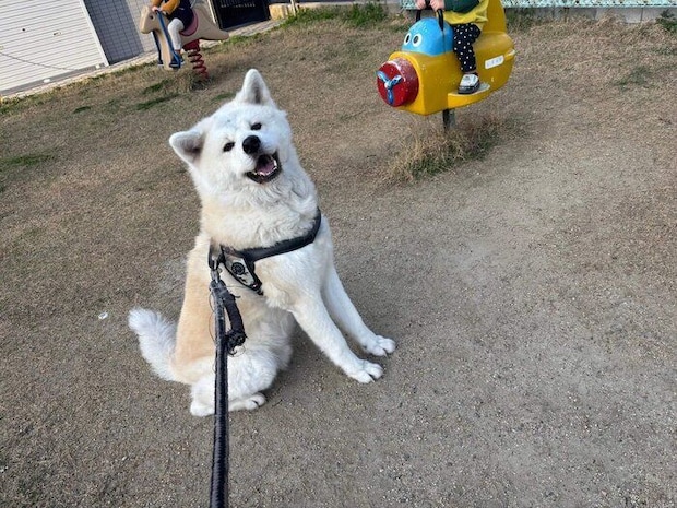 「弟たちを見守ってドヤ顔」な凛太郎くん