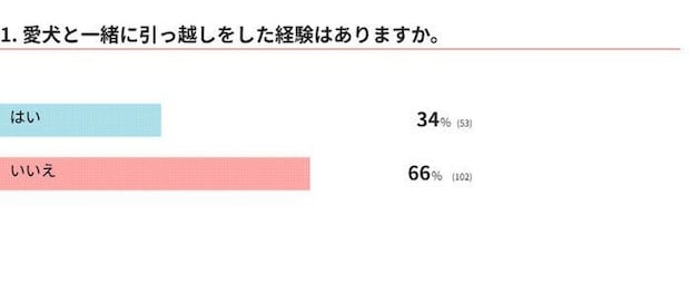 愛犬と引っ越ししたことがある?