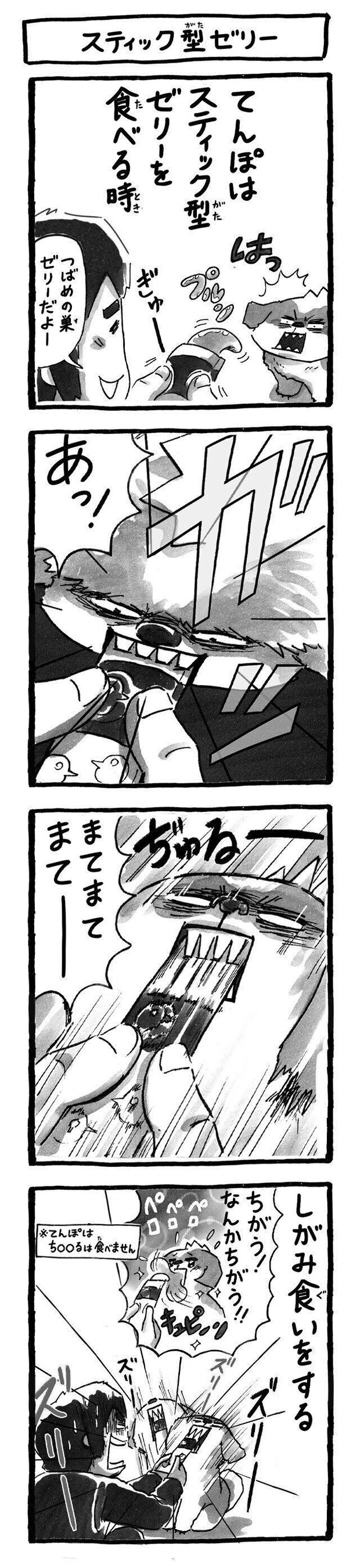 シーズー犬マンガてんぽshihtzu