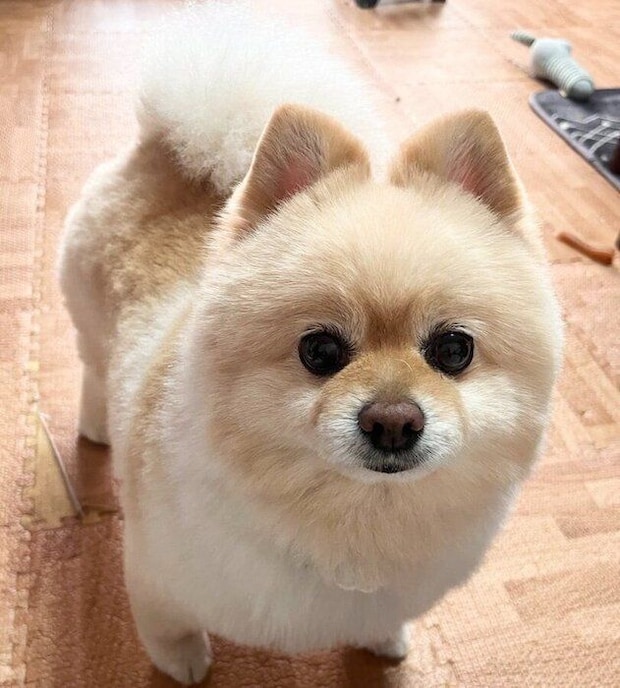 「抱っこして」というように近づいてきた颯太くん