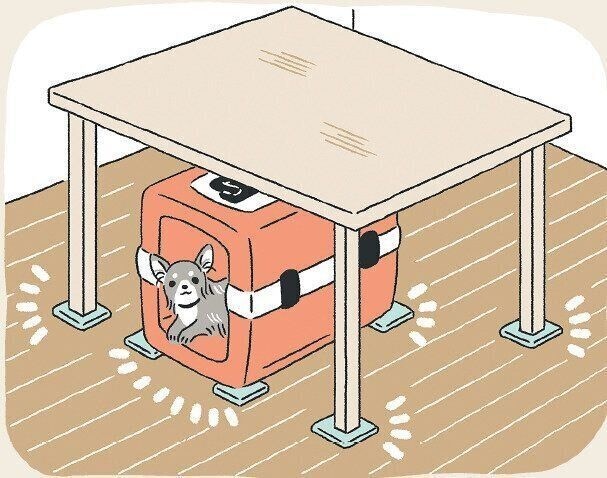 固定した愛犬用シェルター