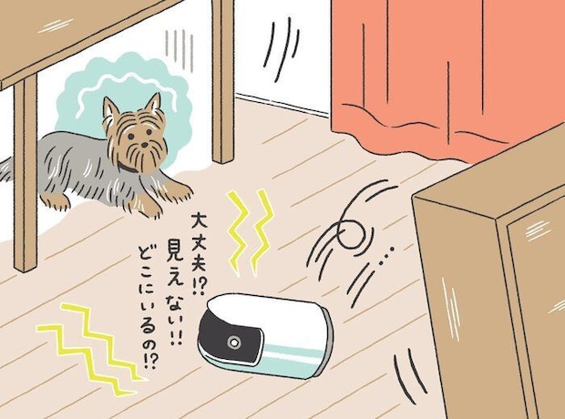 愛犬が留守番中の初動対応
