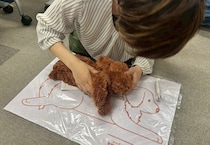 帰宅したら愛犬が倒れている、あなたならどうする？「ペットの心肺蘇生講習」体験レポート