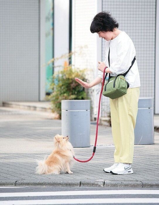 外でマッテをする犬