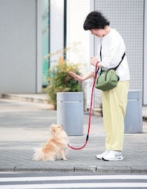 失敗しない犬の「マッテ」のやり方は？　つまずきやすいポイントとコツを解説