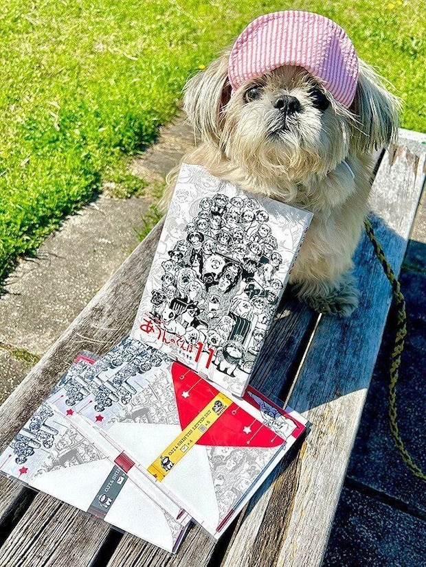 シーズー犬マンガてんぽshihtzu
