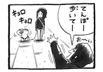 心配したのに…。シニア犬の作戦|連載「シーズー犬のてんぽ」第300回