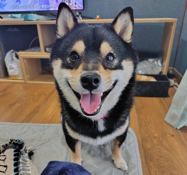 笑顔で見つめるこたくん