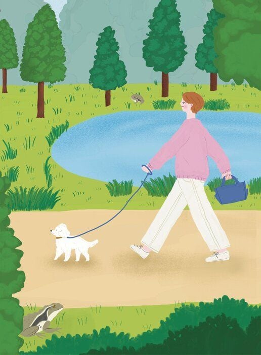 イラスト／きじまももこ