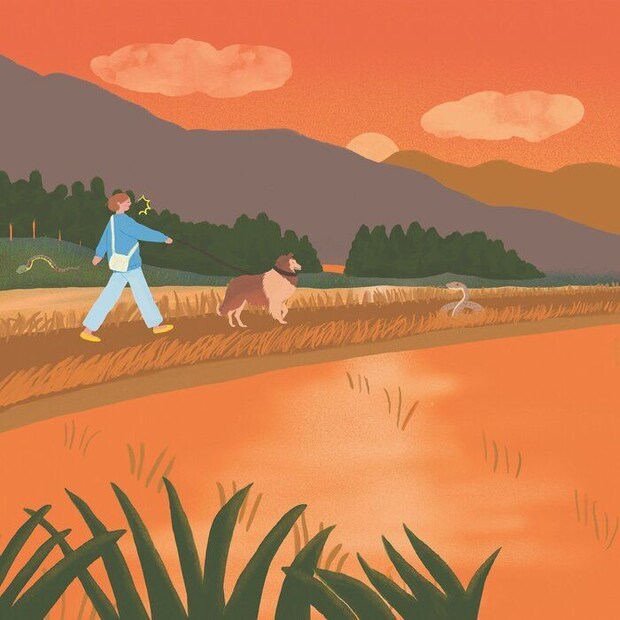 イラスト／きじまももこ