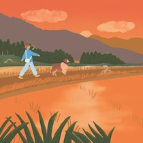 犬が死に至ることもある、要注意な野生生物　水辺に潜む生物とは