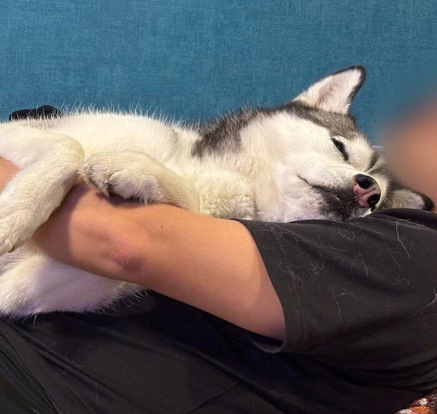 幸せそうな寝顔のムイちゃん