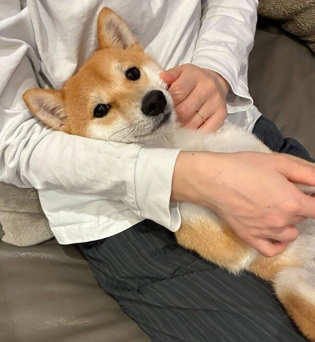 マッサージを要求するちっくん