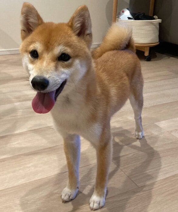 現在のちっくん