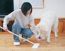 意外なことが原因に 犬目線でわかる掃除&留守番中のストレス