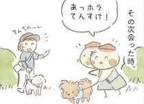 犬には犬のタイミングがあるらしい｜連載「こぐま犬てんすけ」vol.312