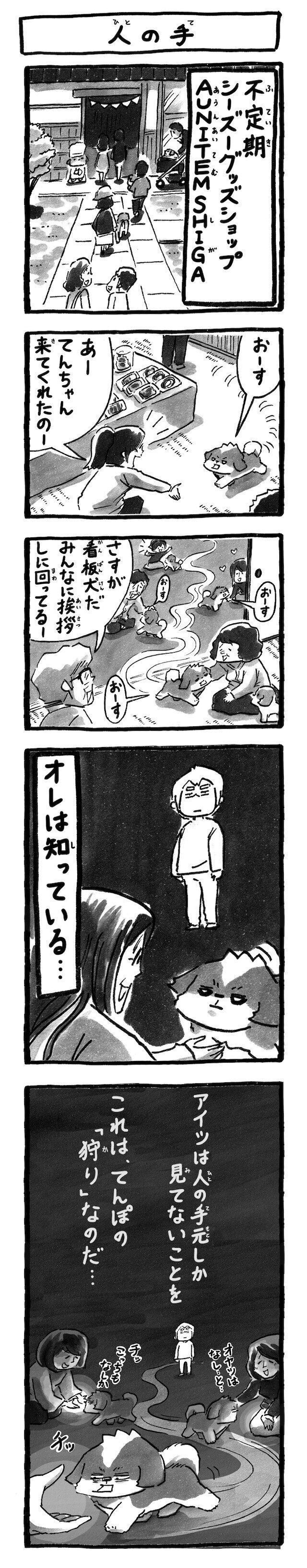 シーズー犬マンガてんぽshihtzu