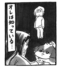人懐っこい理由、飼い主は知っている|連載「シーズー犬のてんぽ」第301回
