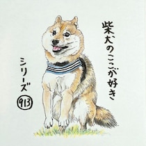柴犬あるある、走り出す直前に別の生き物になるとこ｜連載「ここ掘れここ柴」vol.314