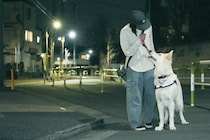 犬にとって歩道橋は怖い？　散歩中に感じるストレスを犬目線で解説