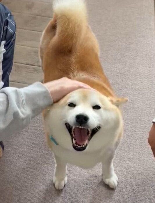 とってもうれしそうな表情を見せたさくらちゃん
