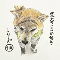 柴犬あるある、カッパ必須の悪天候でも散歩に行きたがるとこ｜連載「ここ掘れここ柴」vol.315