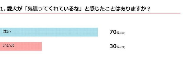 愛犬が気遣ってくれていると感じたことはある?