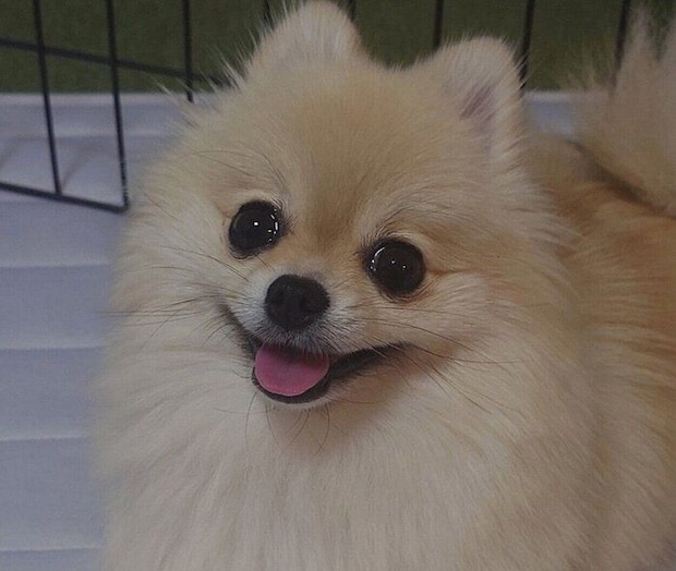笑顔がかわいいはるちゃん