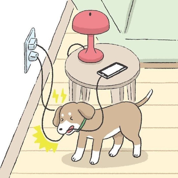 イラスト／徳丸ゆう