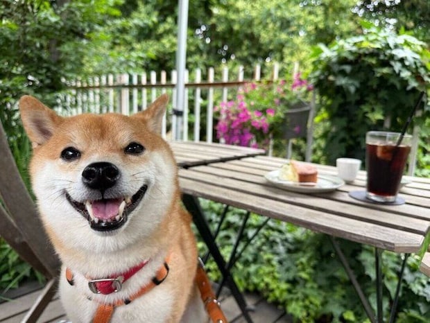 カフェで笑顔を見せるゴンくん