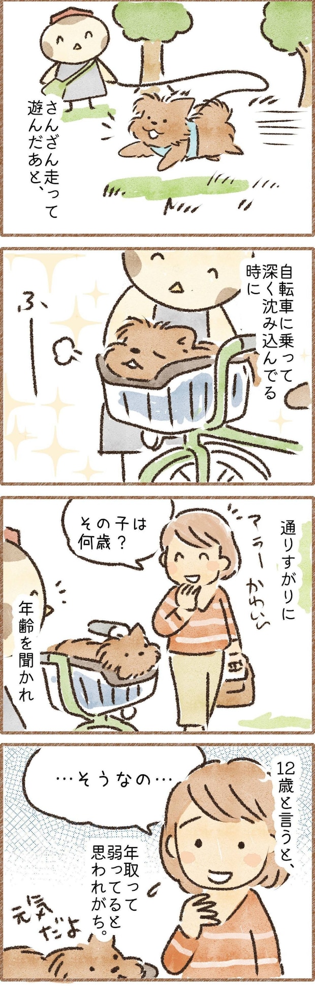 年齢を言うとかわいそうな顔される犬のマンガ