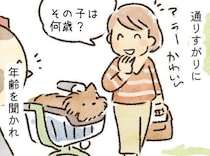 犬の12才、人によって印象が違いすぎる｜連載「こぐま犬てんすけ」vol.314