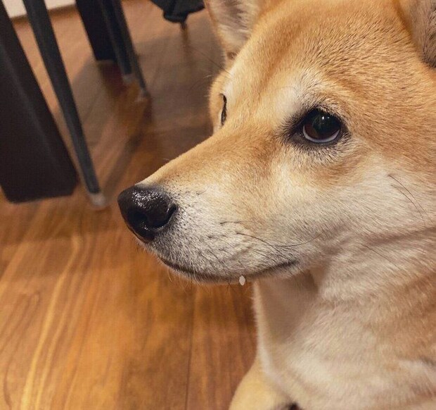 口にごはん粒をつけるソラくん