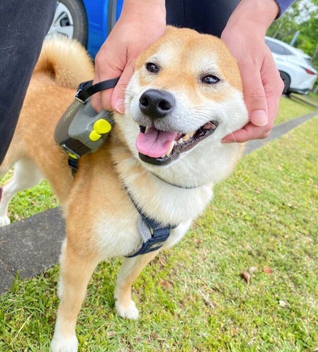 表情がかわいいソラくん