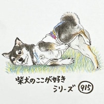 「何その姿勢？」柴犬あるある、変な体勢のままずっと見てくるとこ｜連載「ここ掘れここ柴」vol.316