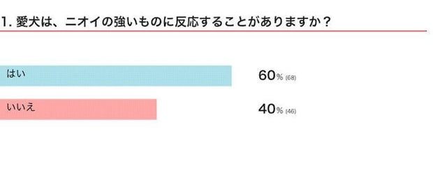 愛犬は、ニオイの強いものに反応することがある?