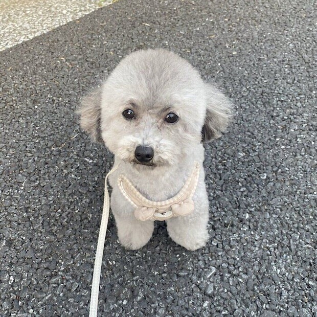 かわいい「まゆげ」がチャームポイントだというあたりちゃん