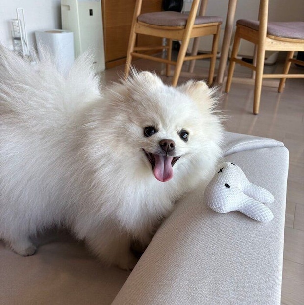 おもちゃを置いて笑顔になる天くん
