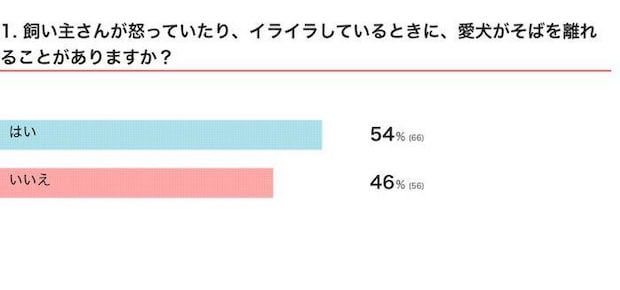 飼い主さんが怒っていたり、イライラしているときに、愛犬がそばを離れることがある?
