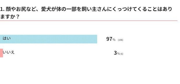 愛犬が体の一部をくっつけてくることはある？