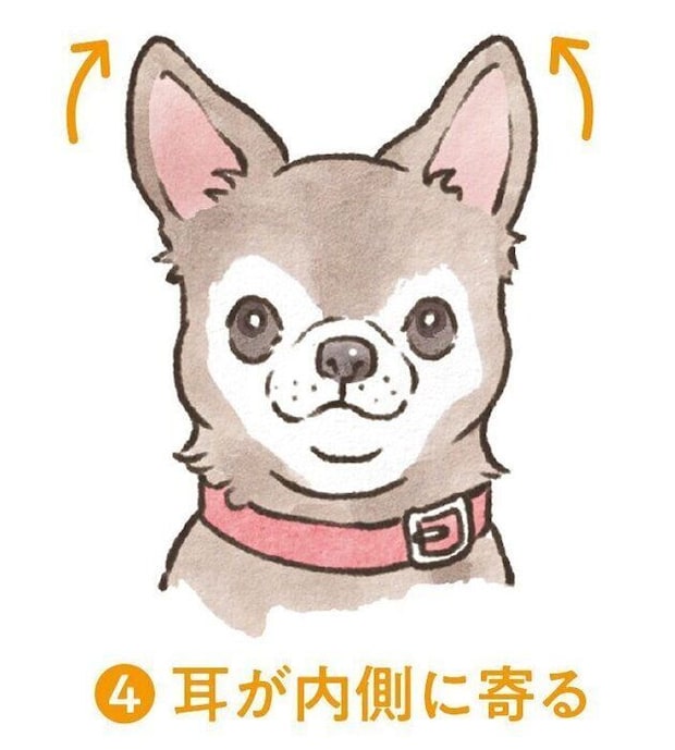 イラスト/フジマツミキ