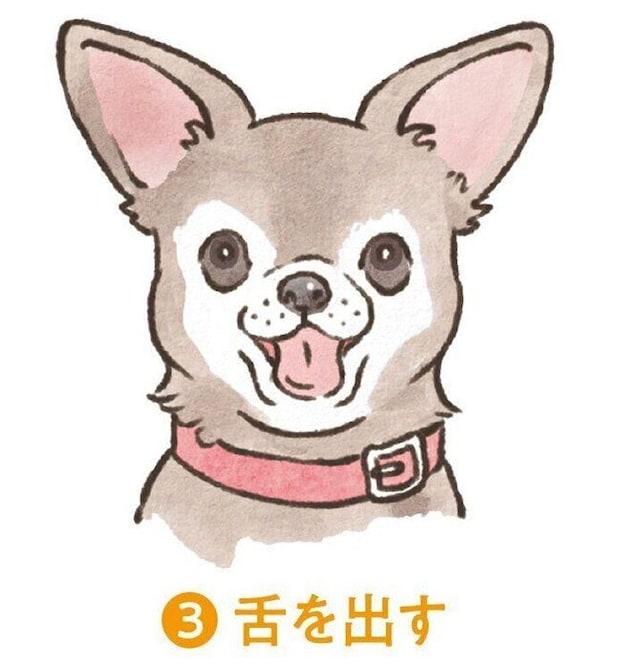 イラスト/フジマツミキ