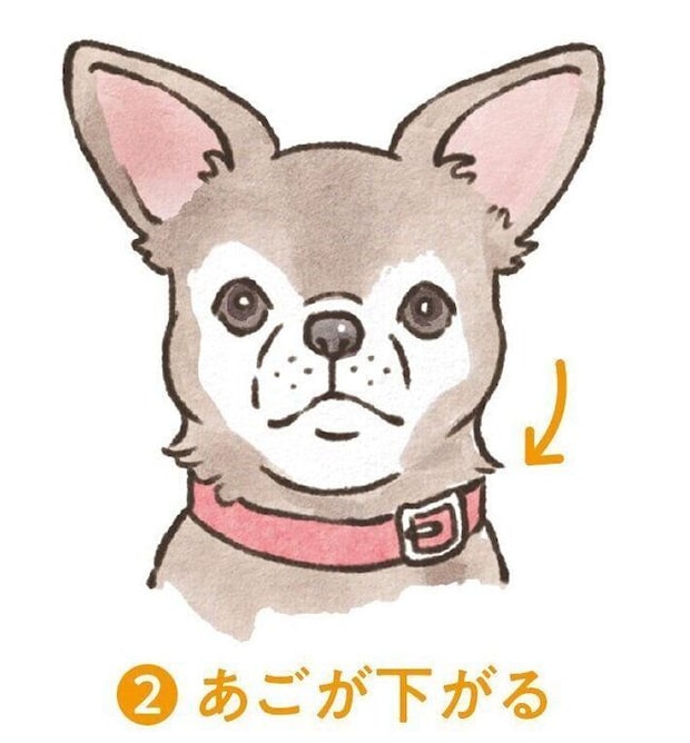 イラスト/フジマツミキ
