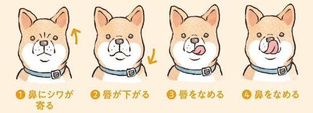 イラスト／フジマツミキ